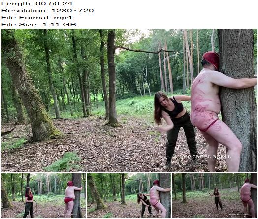 Reell  Extreme Corporal Punishment 720 HD  Whipping preview