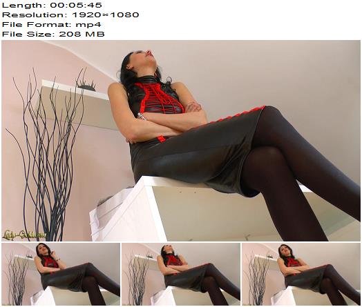 Lady Gold  Deine Daten hab ich verkauft  Humiliation preview