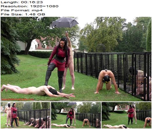 Mistress Ezada Sinn  Brutal Whipping On A Cold Rainy Day preview