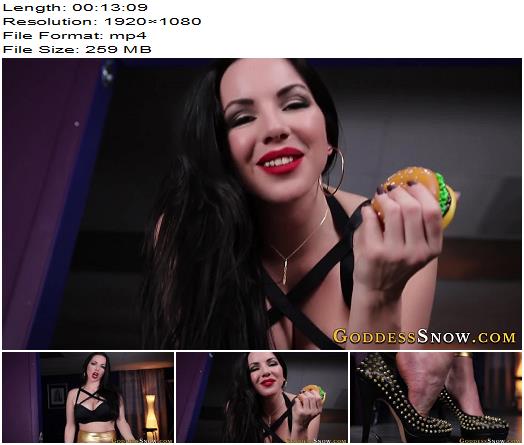 Goddess Alexandra Snow  Vicious Puppy Training  Footworship preview