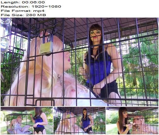 The English Mansion  Miss Vivienne lAmour  Pretty Pet Play  Part 1  Sissy preview