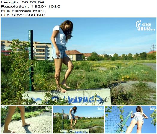 Czech Soles  Dirty bare feet in nature POV  Footworship preview