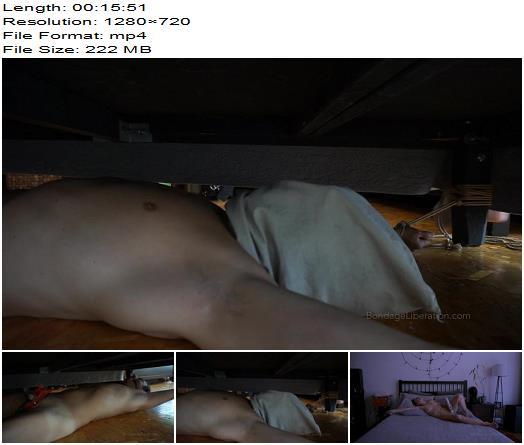 Sexy Domestic Bondage Play Elise Pleasures Herself while Torturing Bound Kino preview