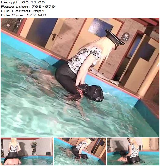 Kelly Kalashnik  Ponyboy training in the pool  Human Animal preview