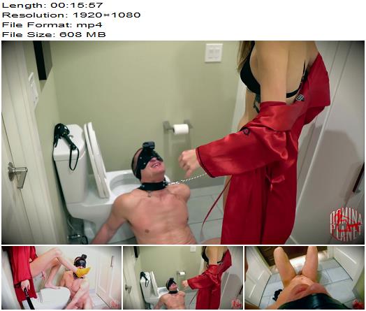 Domina Planet  Becoming My Toilet 1080 HD  Pissing preview