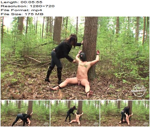 KinkyMistresses  New Video  Mistress Candy  Nipple Torture preview