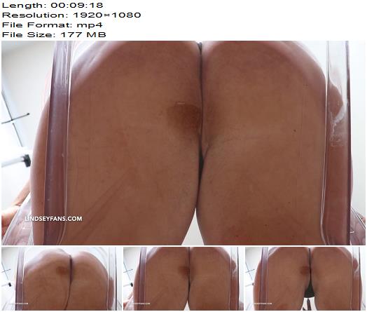 Lindsey Leigh  Glass Seat Ass Stroke  Oral Servitude preview