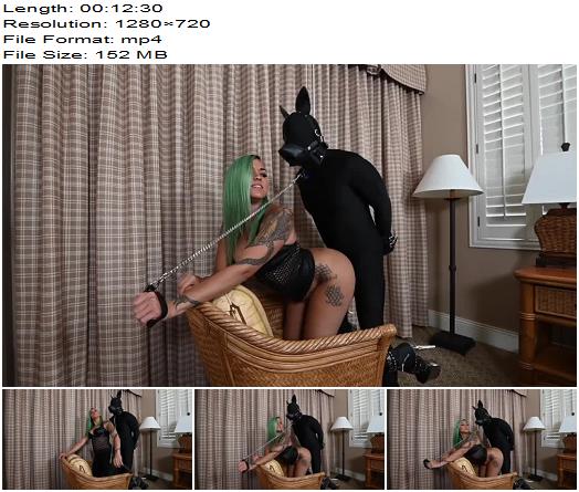 Miss XI  Femdom Mistress Teases and Fucks BDSM Puppy  Human Animal preview