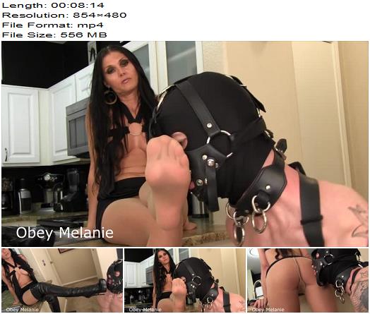  Obey Melanie starring in video Ass sniffing boot licker preview