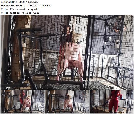 TORTURING MY CAGED PIG preview