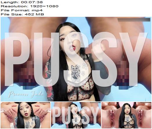 HeyPrincessJade  Goon To Pussy Free Porn  Femdom Pov preview