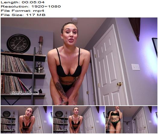 Lindsey Leigh 365 Loads preview