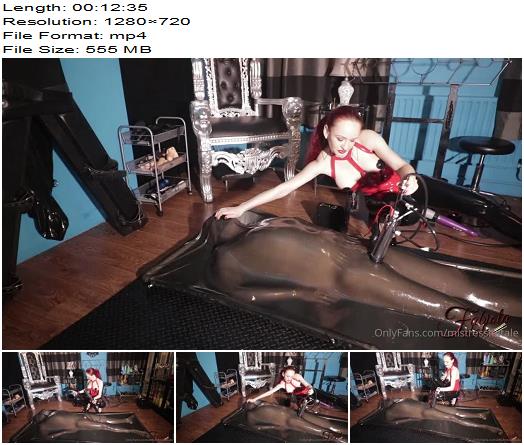 Mistress Fatale  The Vacuum Bed preview