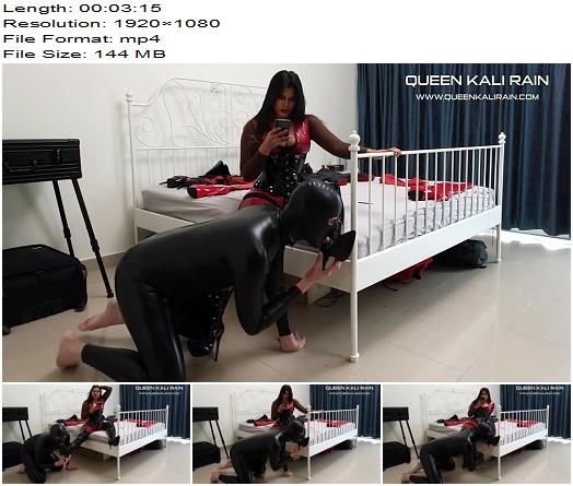 Queen Kali Rain  I can begin my teasing of him while he is locked in chastity Part 5 preview