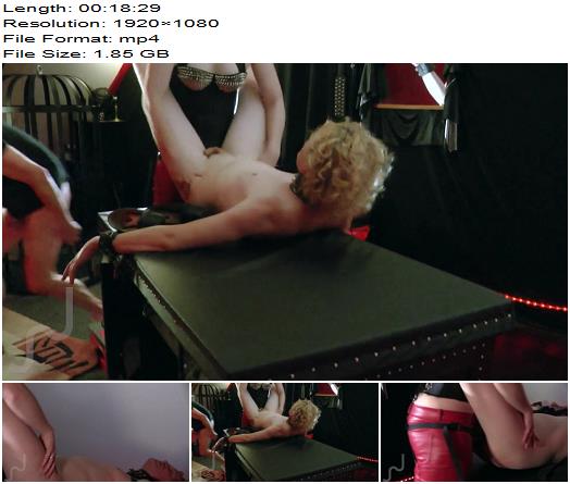 LETS SPIT ROAST THAT BITCH Strapon preview