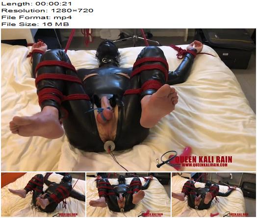 Queen Kali Rain  Showing off how good my bondage slave is what a good boy preview