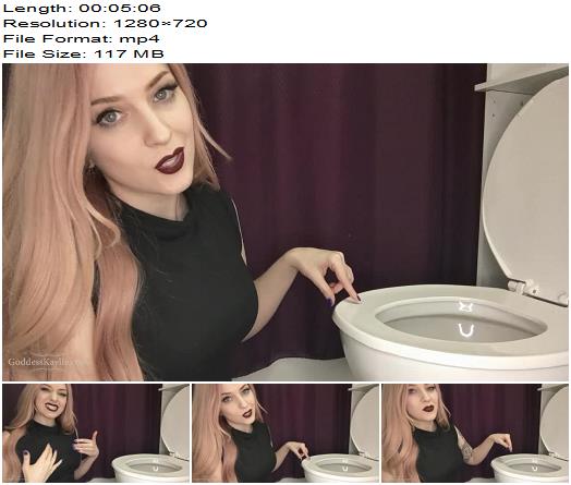 Goddess Kaylie  Meet Your New Girlfriend My Toilet  Femdom POV preview