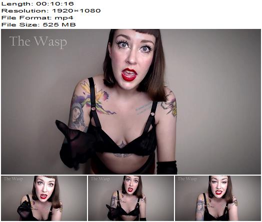 The Wasp  Toilet Slavery Tasks III preview