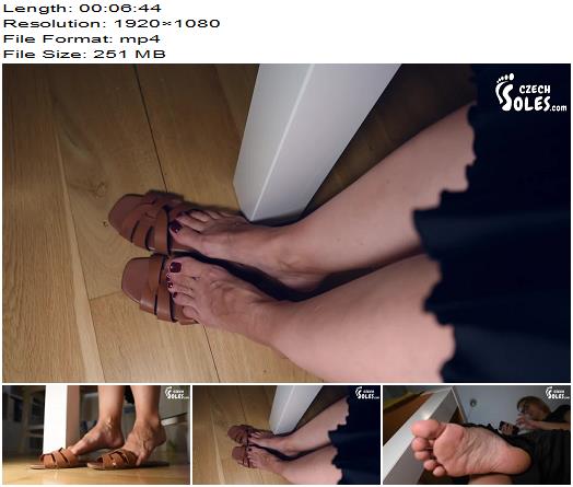 Czech Soles Daniela Worn sandals bare feet and shoe dangling POV  Foot Fetish preview