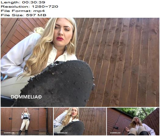 Dommelia  Muddy Boots Series Your New Life As My Waste Bucket Pt 1  Slave Training preview