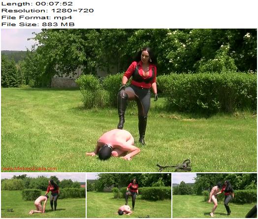 Ezada Sinn  Castrated by My boots  Ball Abuse preview