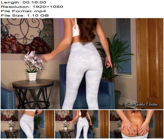 Goddess Christina  POP Goes the Loser preview