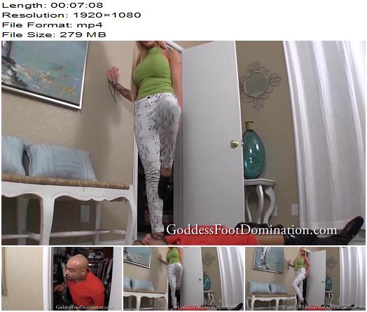Goddess Foot Domination Alexia Custom Shoe Closet Femdom preview