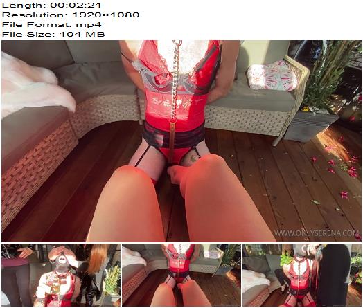 Goddess Gynarchy  Degradation Humiliation Something hell never forget preview