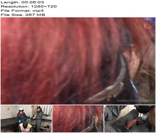 Goddess Vivienne LAmour  Brutal Prison Spitroast  StrapOn preview