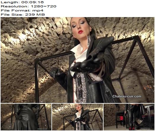 Kinky Leather Clips  Fetish Liza  Obey Your Strict Leather Goddess  Fetish preview