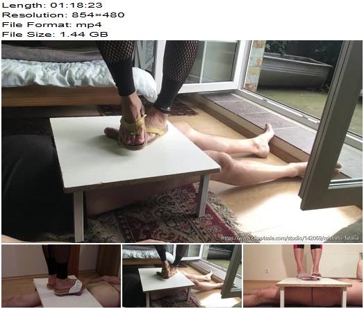 Mistress Fatalia Birkenstock CBT compilation 6in1 Ball Abuse preview