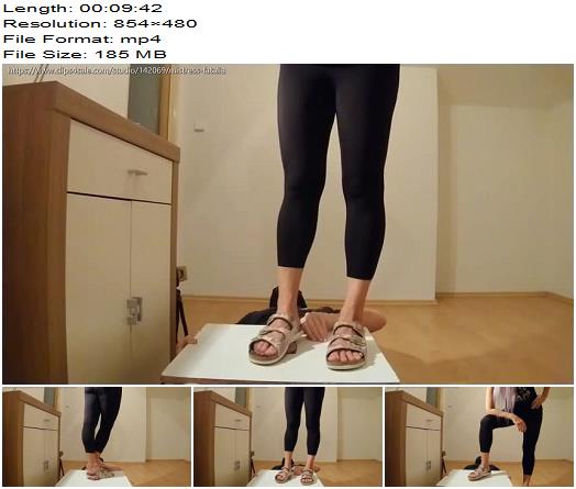 Mistress Fatalia by trashed Birkenstock sandals Ball Abuse preview