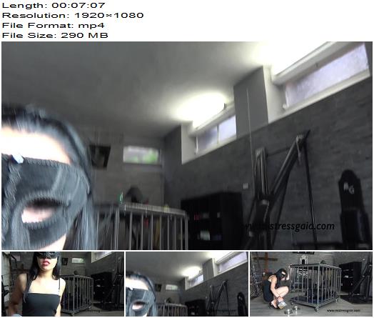 Mistress Gaia  Hungry Slave  Pissing preview