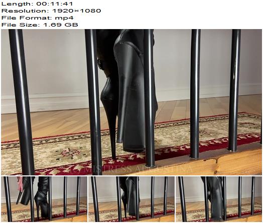 Serve Augustina  Teasing My Caged Boot Bitch  Femdom Pov preview