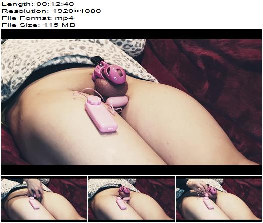 Teasing the Cuckold Chastity Tease  Denial preview