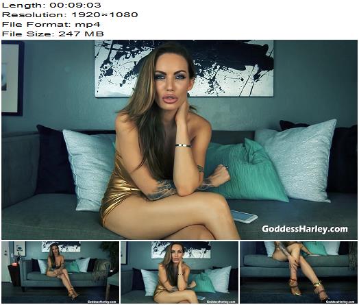 Goddess Harley  Chastity Cuckie Sitter preview