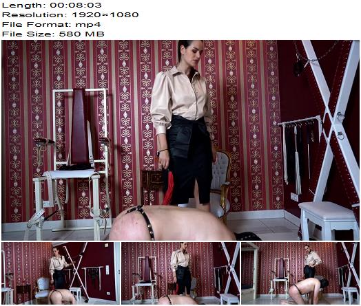 Sado Ladies  Lady Iveta A Special Flogger  BRANDNEW  Whipping and Caning preview