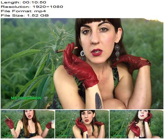 DommeTomorrow  WAKE  BAKE preview