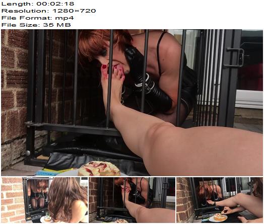 Gynarchy Goddess  Feet them eat cake from my feet preview