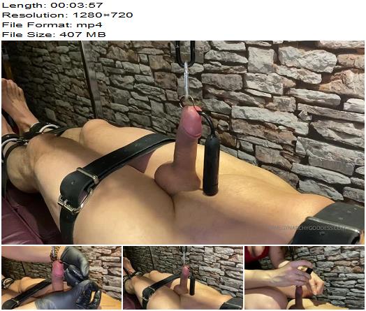 Gynarchy Goddess  His Prince Albert is pulled tight and upright preview