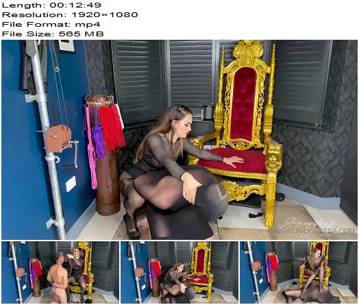 Gynarchy Goddess  Nylon Encasement preview