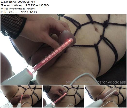 Gynarchy Goddess  Violet wand with glass attachments on cock and balls preview