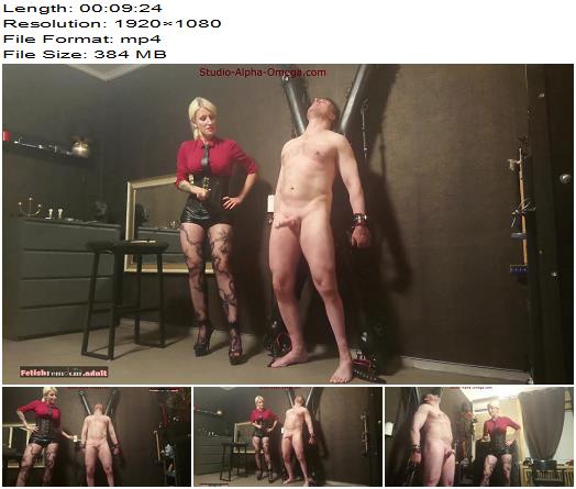 Lady Patricia  Cock Caning with my Stainless Steel Crop preview