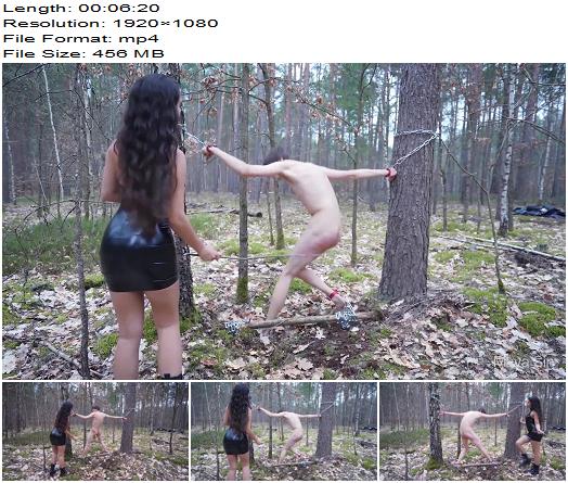 Maya Sin  Thrashed in the woods preview