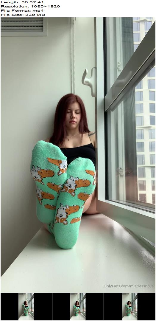 Miss Nova  Corgi socks worship and humiliation preview