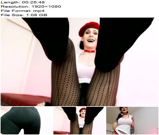 Miss Untamed  The Amazon Generals Hidden Prize preview