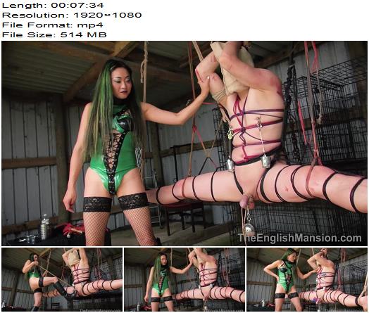 The English Mansion  Mistress Amrita  Shibari Splits  Part 3 preview