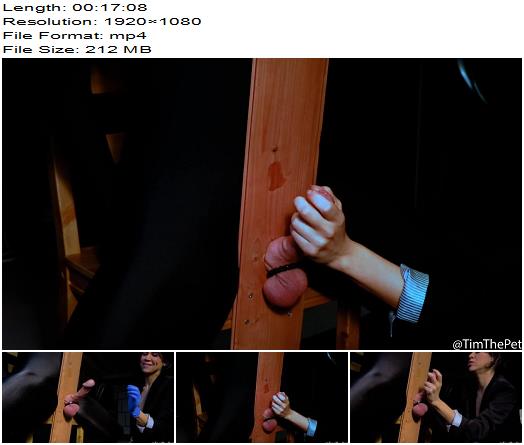 Ava Juices Throbbing Aching Rock Hard Cock Draining his Balls until Empty W preview