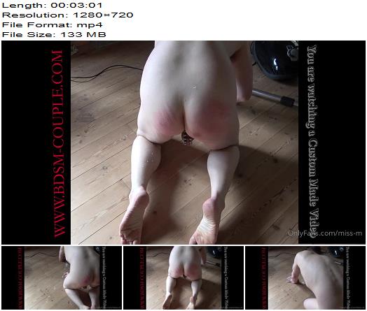 BDSM COUPLE  Miss M  Watching Him Crawl Around On All Fours With Those Beautiful Red Stripes preview