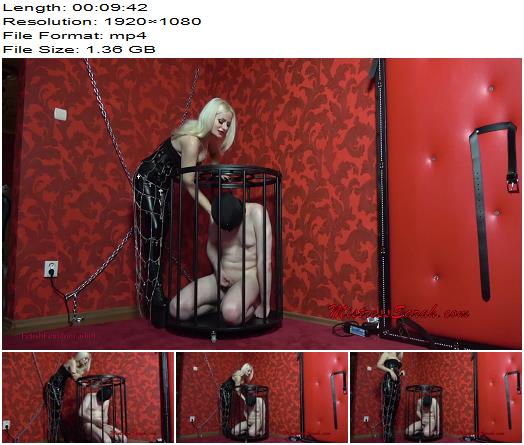 Miss Sarah Dom Cry for your useless cock preview